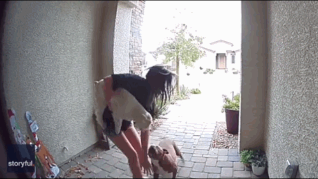 video cun cung bi pitbull tan cong du doi co ga i hoa ng loa n la he t