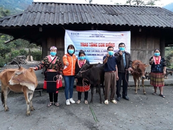 hon 4 ty dong duoc world vision vietnam va koica giup nguoi dan dien bien quang ngai phuc hoi sau dai dich covid 19