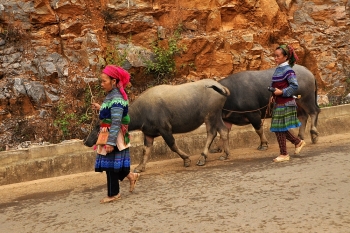 cho phien can cau dia diem viet kieu khong the bo qua khi ve tham que huong