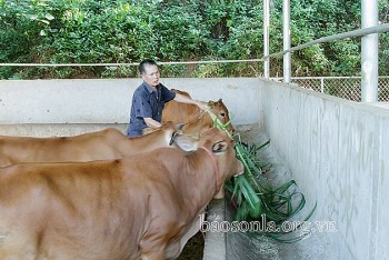 cham lo tao viec lam cho lao dong hoi huong