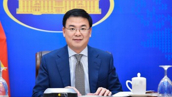 nguoi viet nam o nuoc ngoai dong gop thiet thuc cho que huong