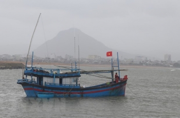 binh thuan kien quyet cham dut tau ca khai thac trai phep