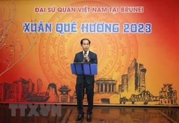 viet nam va brunei thuc day moi quan he doi tac toan dien