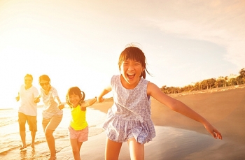 wb vien tro 740000 aud de khao sat bo sung du lieu ve gioi tai viet nam