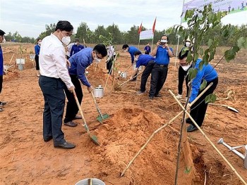 dong loat ra quan ngay chu nhat xanh toan quoc