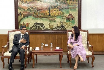 viet nam indonesia tang cuong cac hoat dong giao luu van hoa