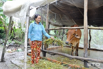 nguoi ngheo nguoi khuyet tat duoc mien thu phi trong chan nuoi