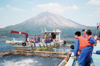 Hàn Quốc gia hạn hợp đồng cho lao động là thuyền viên