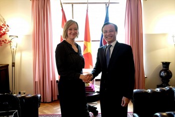 tang cuong hop tac giua dai su quan viet nam tai dan mach voi hoi huu nghi dan mach viet nam