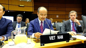 viet nam tham gia cuoc hop dinh ky lan 2 hoi dong thong doc co quan nang luong nguyen tu quoc te iaea