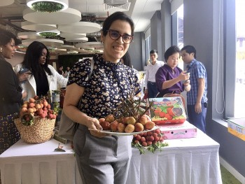 vai thieu viet nam gay an tuong manh voi ban be quoc te