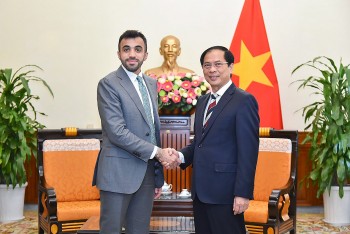 uae mong muon day manh hop tac kinh te voi viet nam