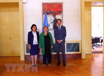 viet nam dong gop hieu qua cho hoat dong cua hoi dong nhan quyen