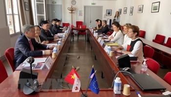 duc va phap ho tro viet nam xay dung phap luat va dao tao nhan luc