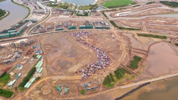 1000 xe vinfast chiem song su kien ki luc xep ban do viet nam