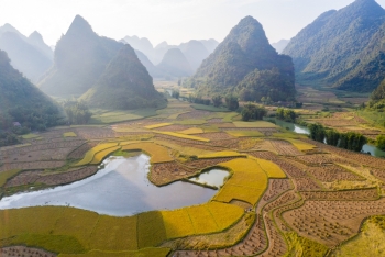 mua vang dep nao long noi bien cuong cao bang