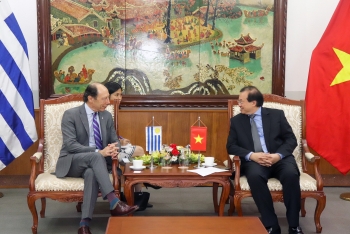 tang cuong hop tac van hoa the thao va du lich giua viet nam uruguay
