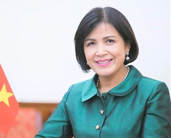 viet nam luon chu trong bao dam long ghep binh dang gioi trong xay dung va thuc thi phap luat