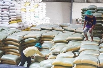 chinh phu cap gao nha bat may phat dien ho tro nguoi dan gia lai binh phuoc soc trang