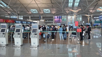 dua hon 600 cong dan viet nam tu nhat ban han quoc ve nuoc an toan