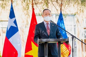 100 hoa sy nghe sy chile tham gia cuoc thi ve tranh viet nam chile tinh huu nghi 50 nam