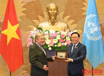 tao xung luc moi trong hop tac viet nam lien hop quoc nhung nam toi