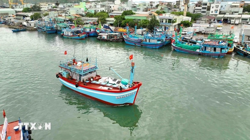 viet nam tuyen chien voi tinh trang khai thac iuu vi uy tin cua quoc gia