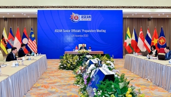 cac nuoc danh gia cao viet nam trong vai tro chu tich asean 2020