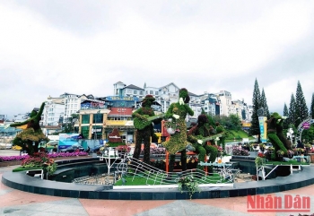 festival hoa da lat nam 2022 co 9 chuong trinh chinh