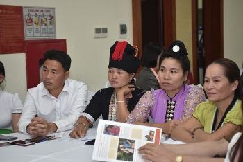 tang cuong dich vu ho tro nguoi bi bao luc gioi tai cong dong