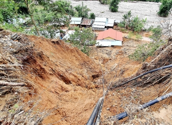 kocham ho tro quan ao con giong cay trong cho nguoi dan quang binh quang nam