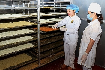 phu nu dan toc thieu so bac kan thoat ngheo nho 40