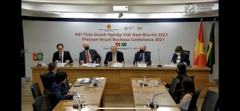 doanh nghiep brazil quan tam tim kiem co hoi hop tac voi viet nam