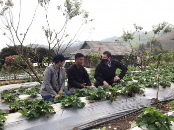 australia ho tro cai thien sinh ke cho nong dan phu nu dan toc thieu so vung tay bac