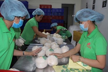 som trien khai bo nhan dien thuong hieu de quang ba tai cac nuoc