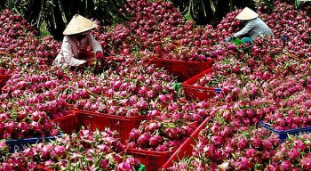 doanh nghiep viet phai co chien luoc phu hop tang cuong tiep can cac doi tac tiem nang o anh