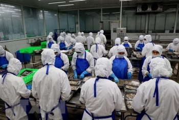 xuat khau thuy san dat nam 2022 dat muc ky luc khoang 11 ty usd