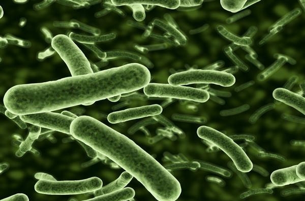 Nghệ An: 3 nhà máy nước sạch bị nhiễm khuẩn gây bệnh chỉ bị phạt... 60 triệu đông