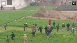 video ca lang hon 100 nguoi chay tan tac vi bi bao hoa mai truy sat