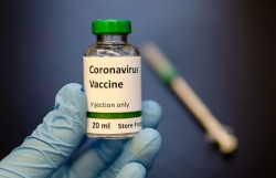 Chuột thí nghiệm khoẻ mạnh, thử nghiệm vaccine COVID-19 ở Việt Nam bước đầu thành công