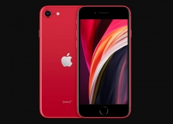 iPhone SE 2020 chính hãng Việt Nam có giá dưới 11 triệu đồng?