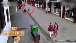 video ngua dien cuong huc bay nhieu nguoi di bo va cai ket dang