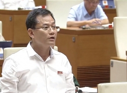 video dai bieu quoc hoi hien ke ngan chan su co hang khong