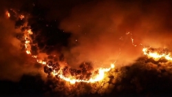 Video, ảnh rừng bốc cháy ngùn ngụt lớn chưa từng có ở Hà Tĩnh