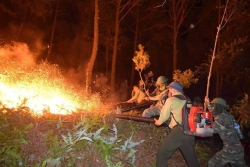 Nghi phạm vụ cháy rừng ở Hà Tĩnh khai gì?