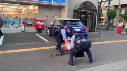 Video: 2 cảnh sát Nhật Bản chặn đường "hộ tống" đàn vịt gây sốt MXH