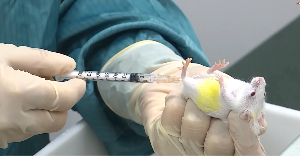 vaccine phong covid 19 do viet nam san xuat sap thu nghiem tren linh truong