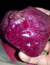 Sự thật viên đá quý giá 5 tỉ đồng khiến hàng trăm người đổ xô đi đào?