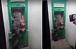 Video: Nữ tài xế say xỉn phóng như "tên lửa" đâm bốc cháy BMW, 6 người thương vong