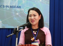 TS Phan Thị Hồng Xuân: Đề xuất "lu nước chống ngập" là của JICA (Nhật Bản)?